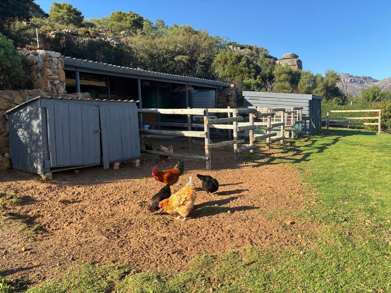To Let 5 Bedroom Property for Rent in San Michel Western Cape